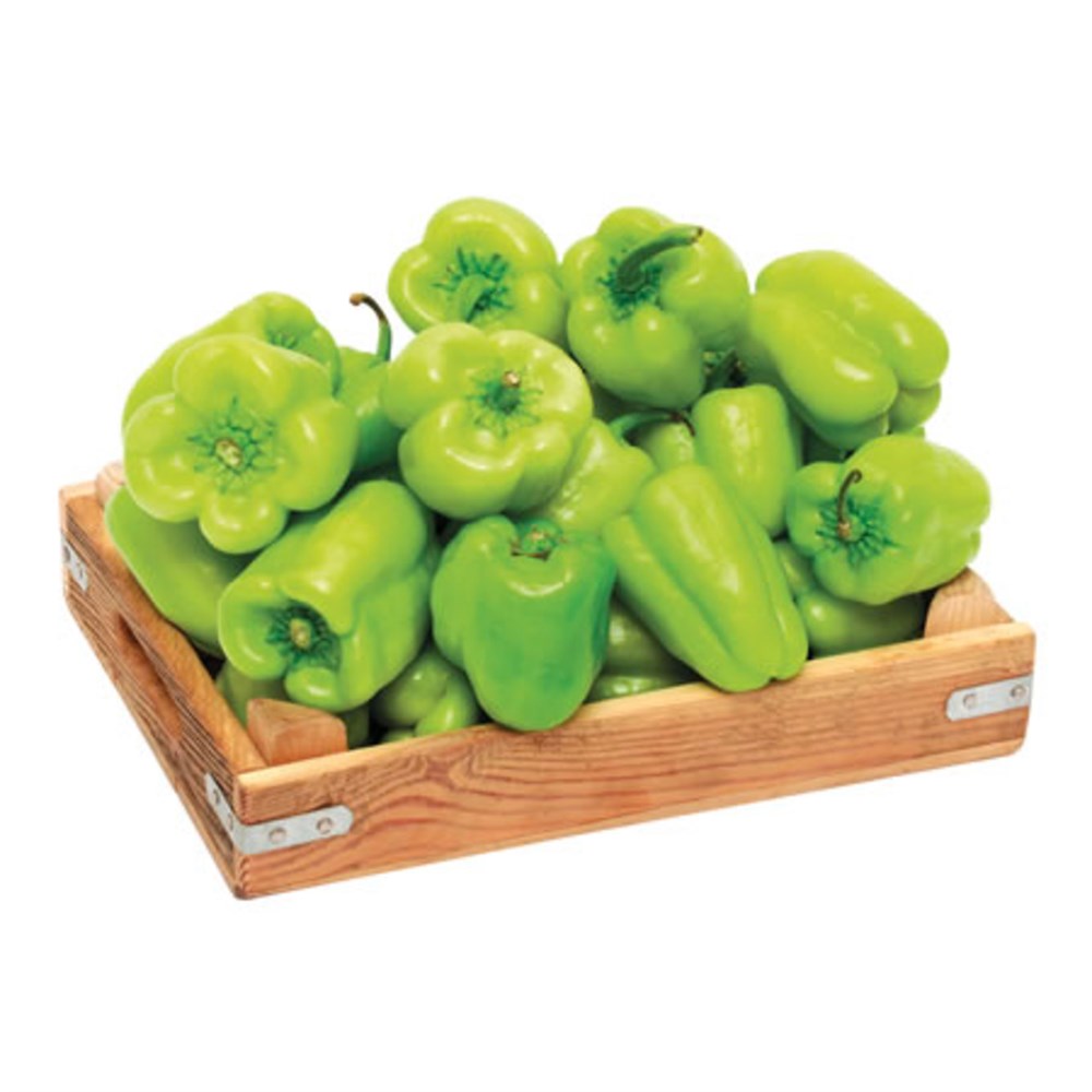 fresh-green-bells-peppers Yeşil Dolma Biber - Image 1
