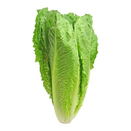 Marul – Uzun (adet)